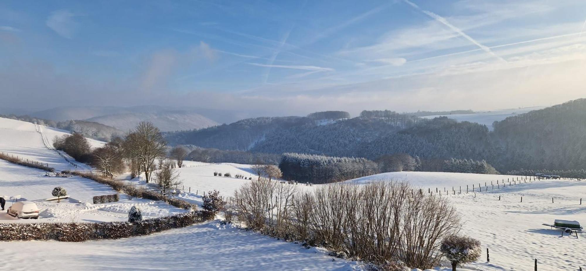 Fewo-Eifel-Morsbach Schleiden Exterior foto